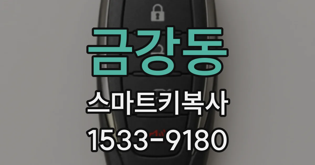 금강동 스마트키복사