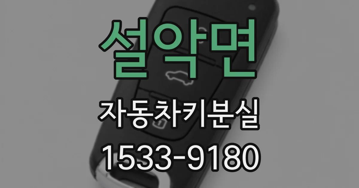 설악면 자동차키분실