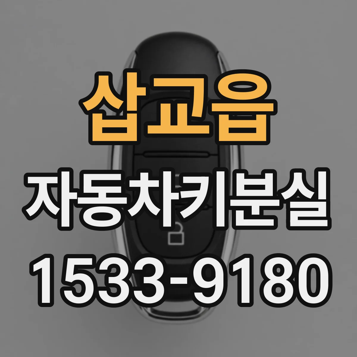 삽교읍 자동차키분실