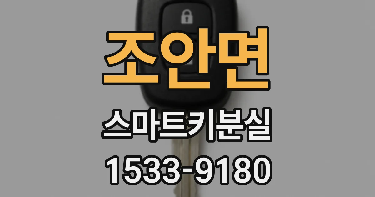 조안면 스마트키분실