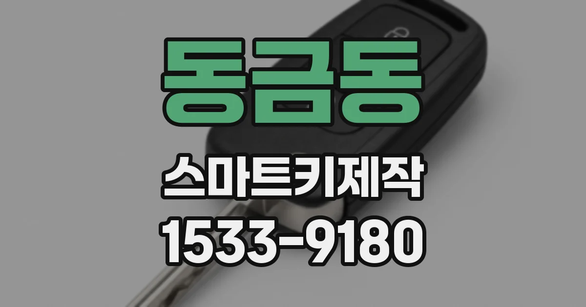 동금동 스마트키제작