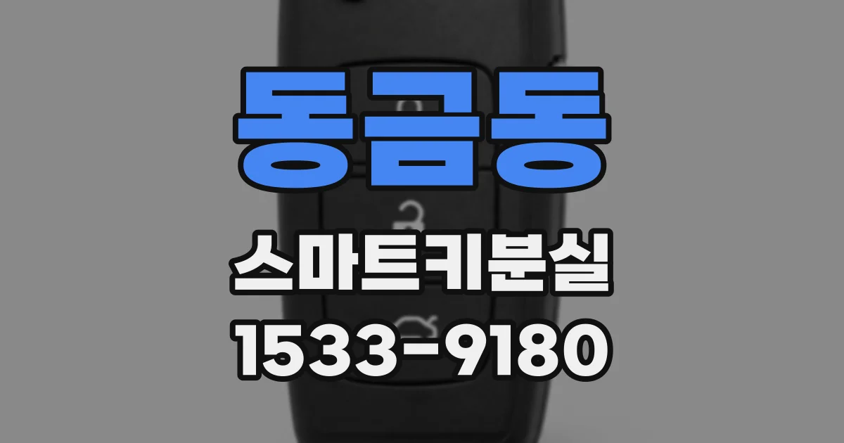 동금동 스마트키분실
