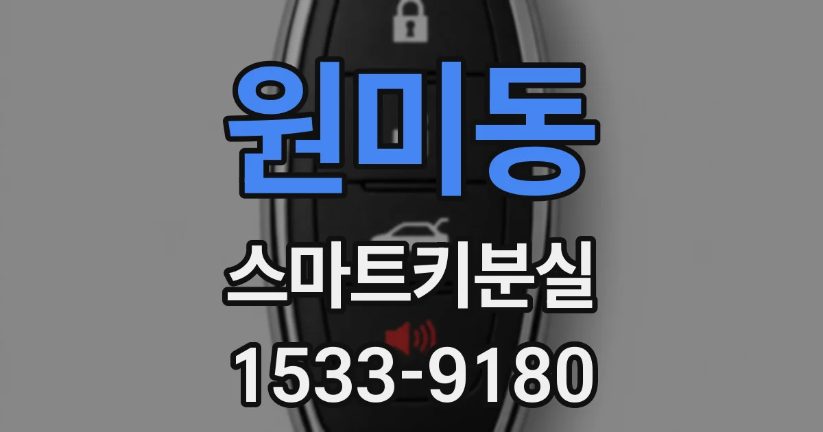 원미동 스마트키분실