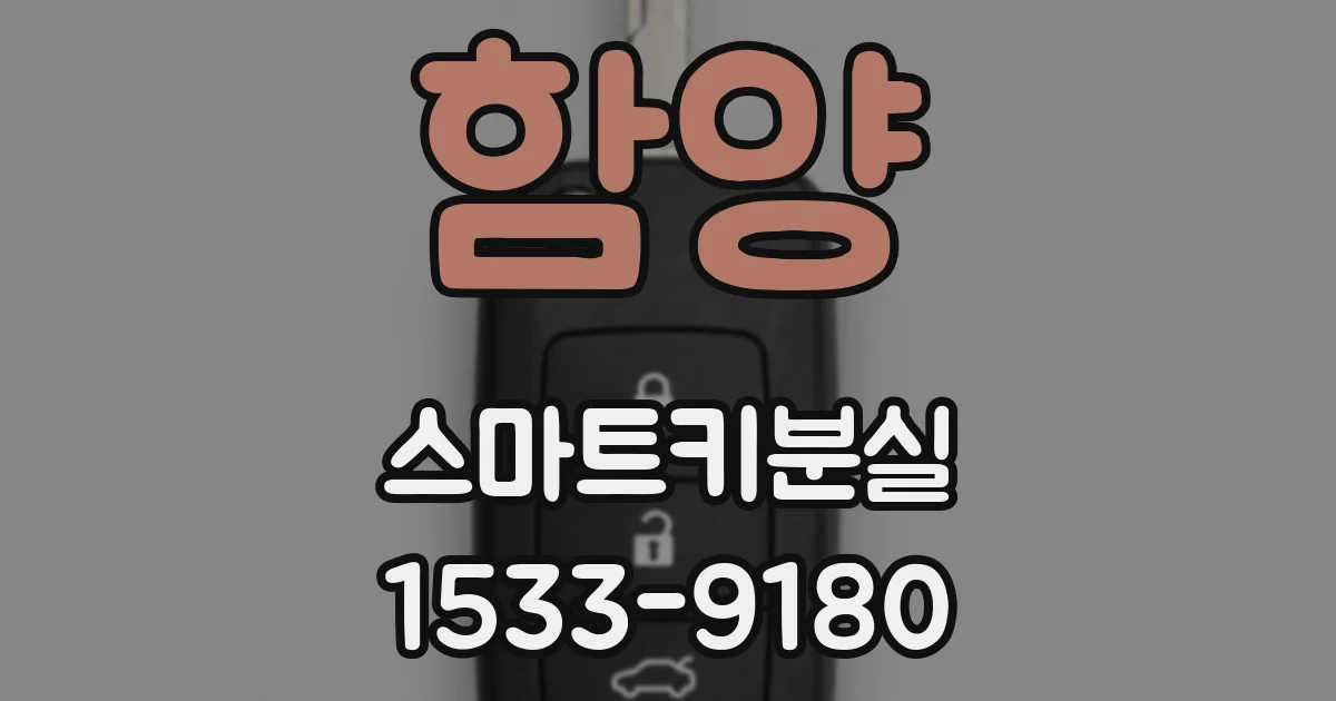 함양 스마트키분실