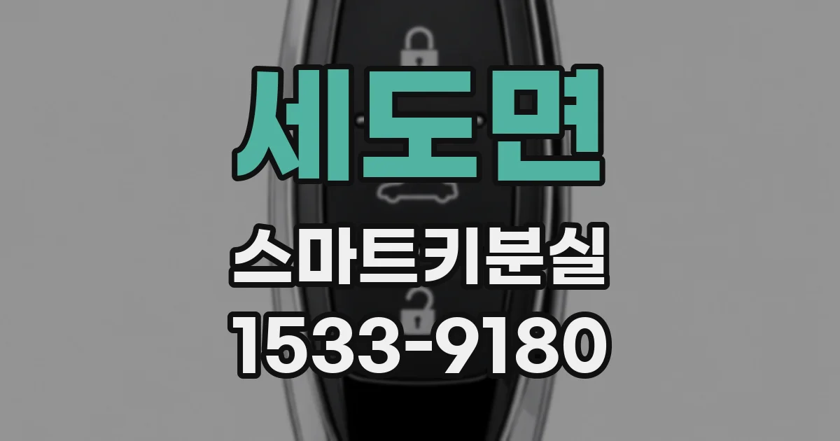 세도면 스마트키분실