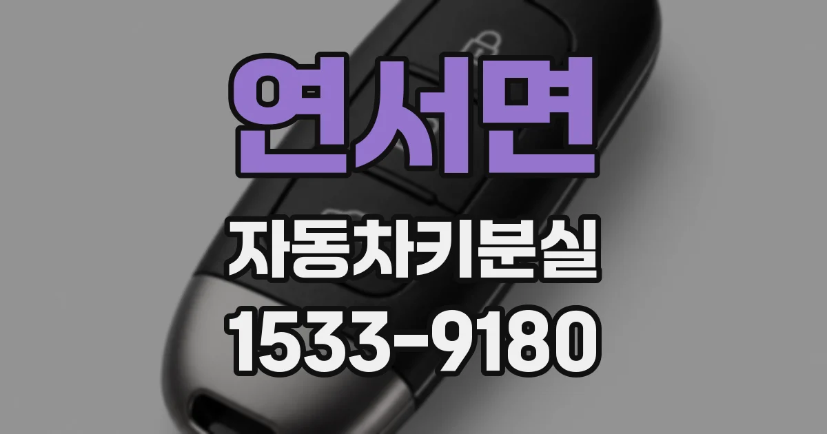 연서면 자동차키분실
