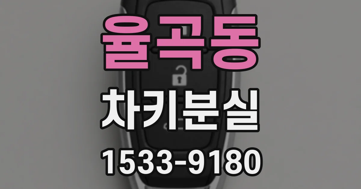 율곡동 차키분실