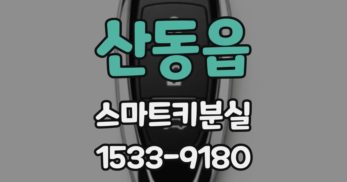 산동읍 스마트키분실