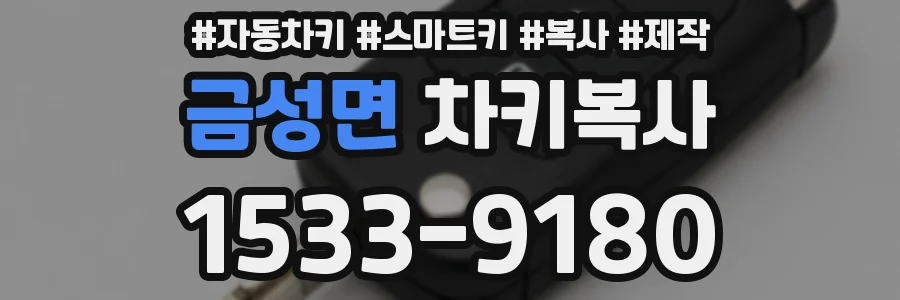 금성면 차키복사