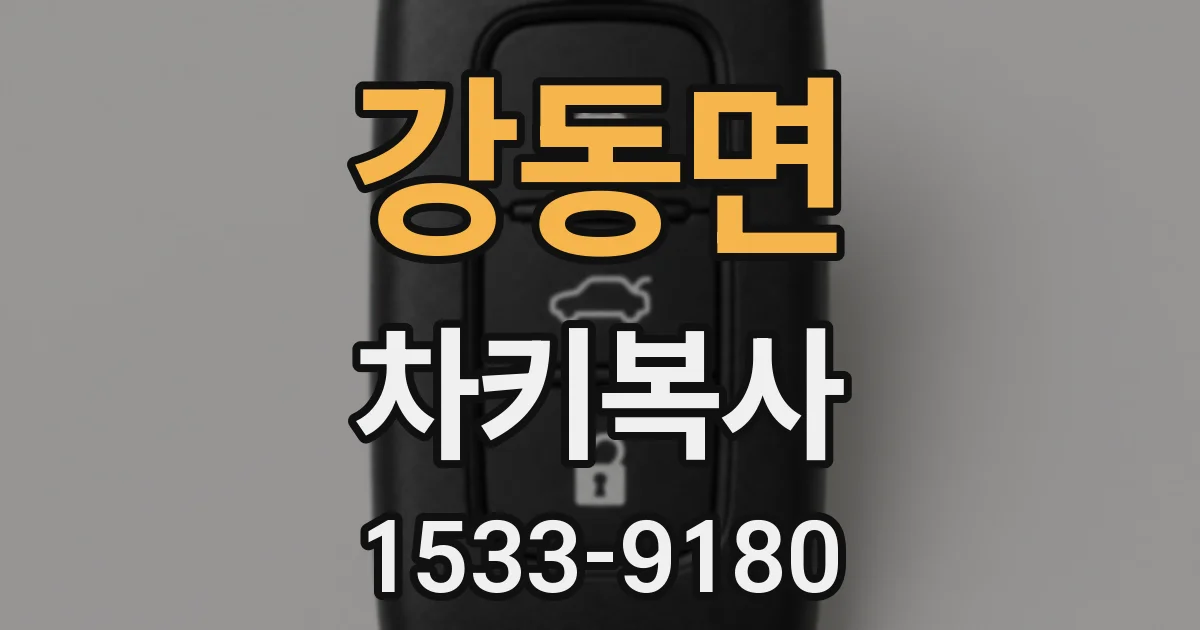 강동면 차키복사