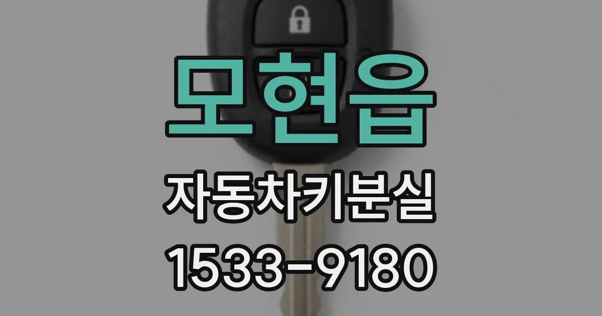 모현읍 자동차키분실