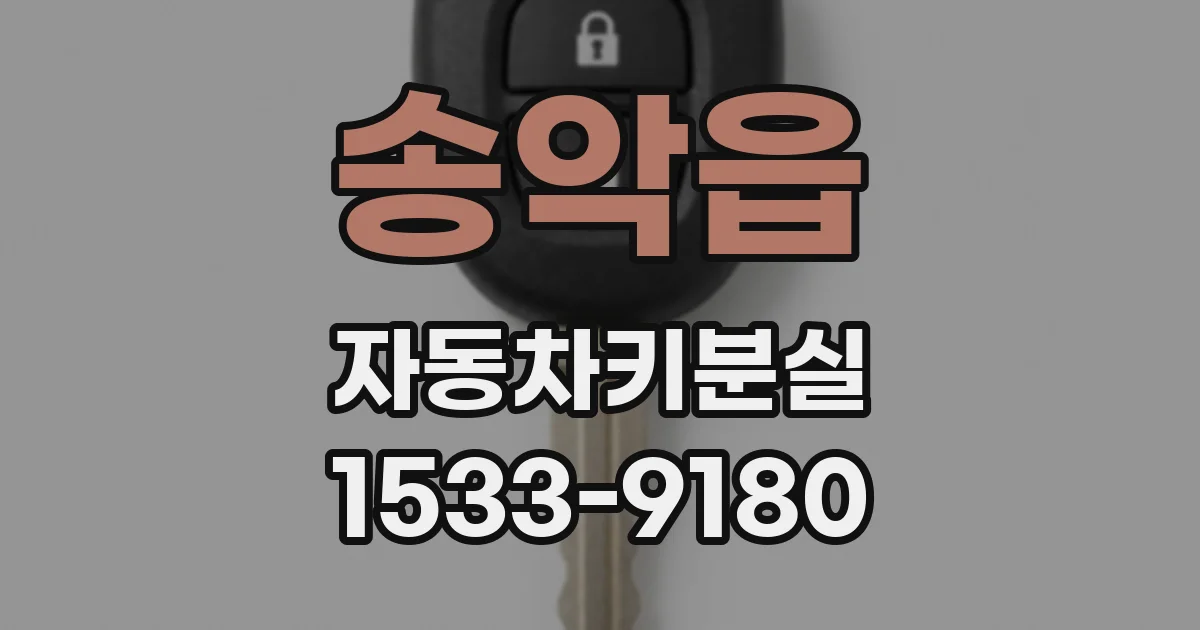 송악읍 자동차키분실