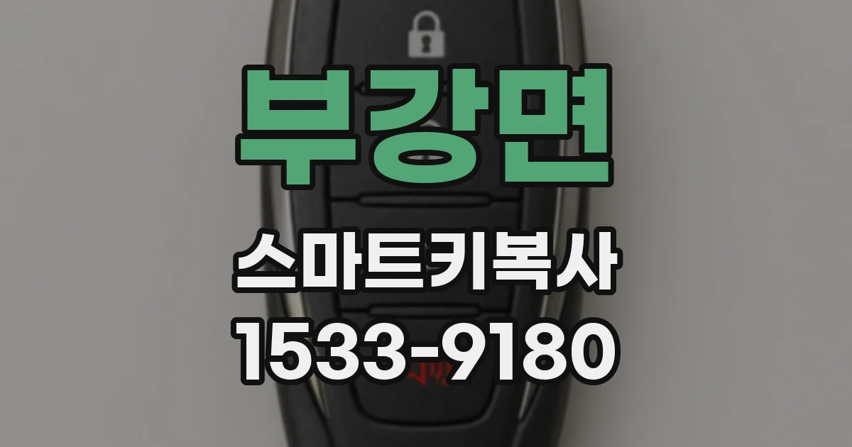 부강면 스마트키복사