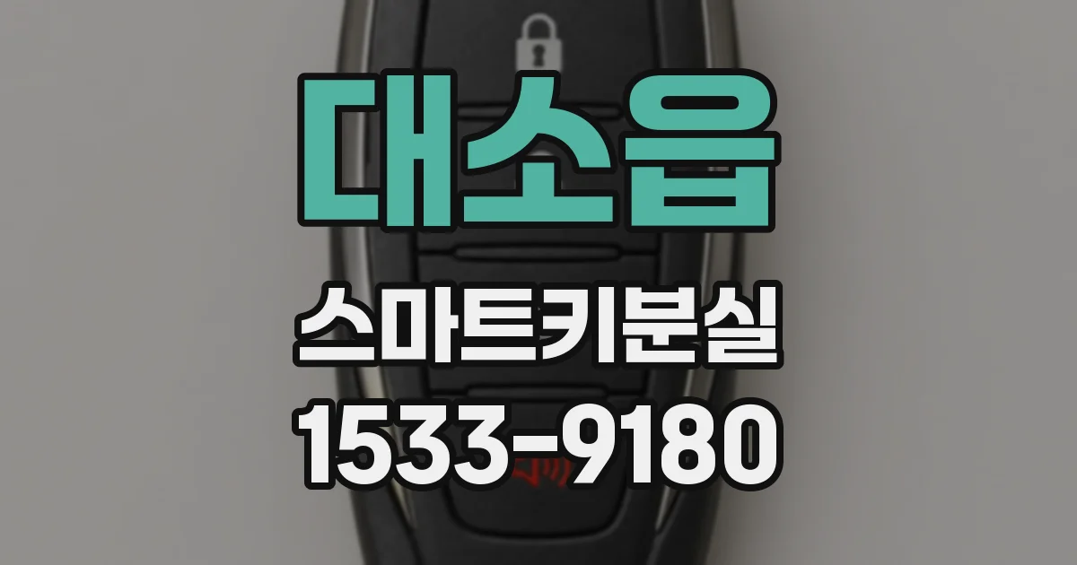 대소읍 스마트키분실