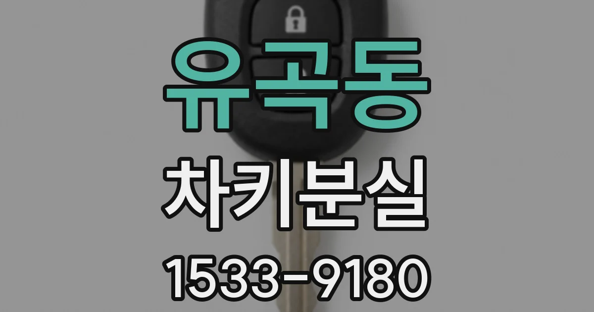 유곡동 차키분실