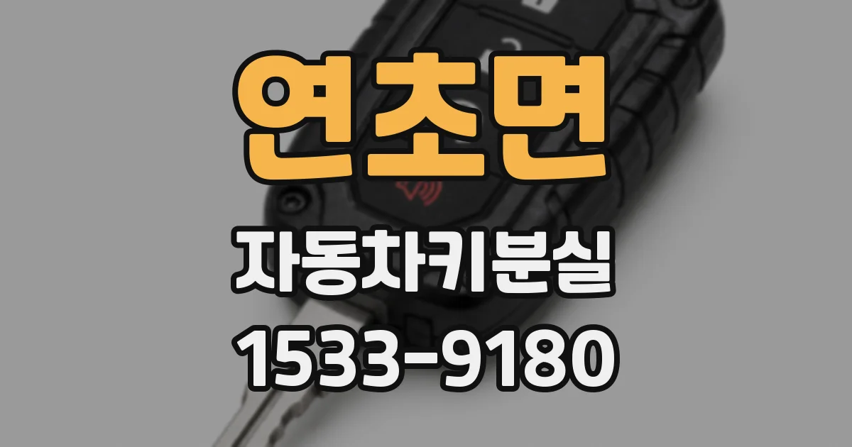 연초면 자동차키분실