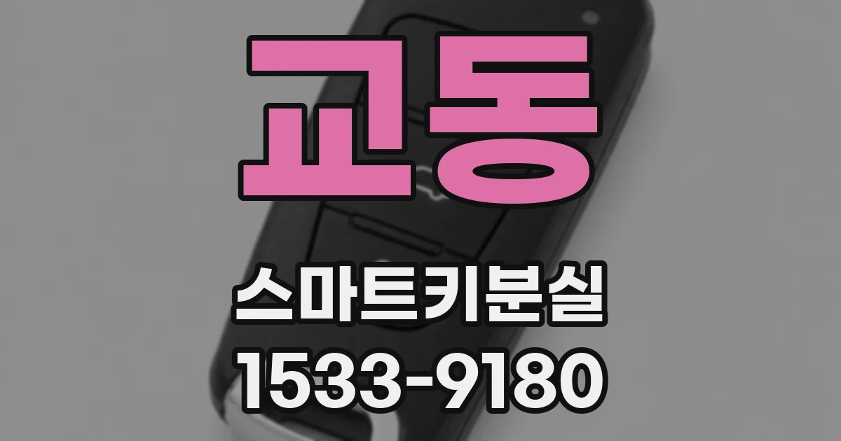 교동 스마트키분실