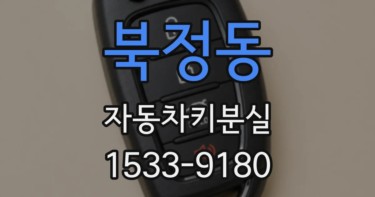 북정동 자동차키분실