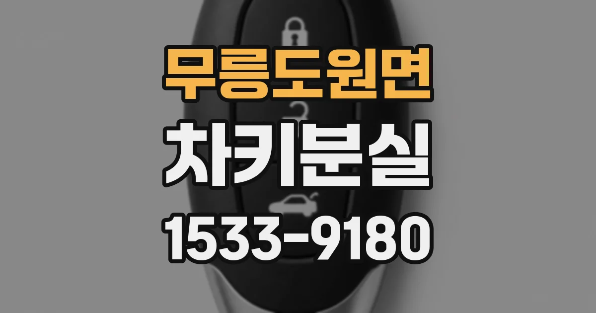 무릉도원면 차키분실