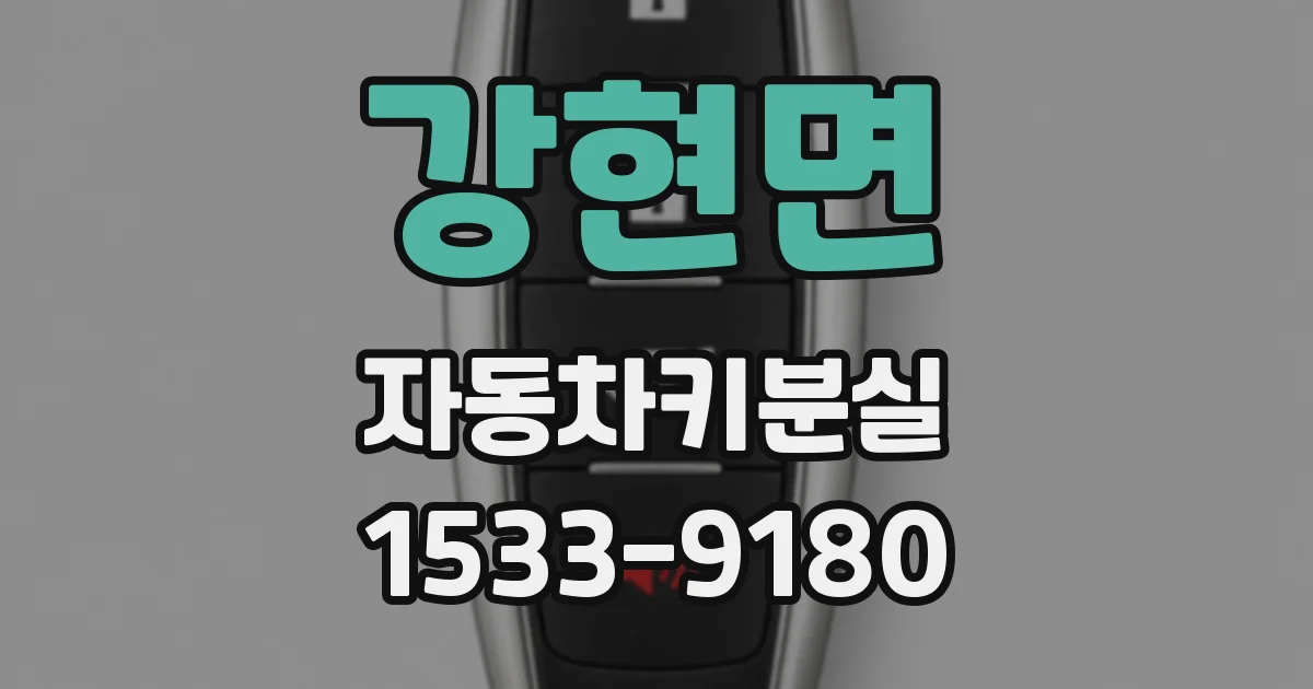 강현면 자동차키분실