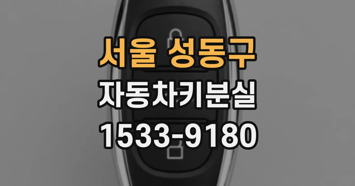 서울 성동구 자동차키분실