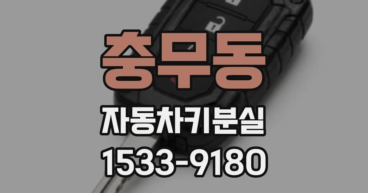 충무동 자동차키분실