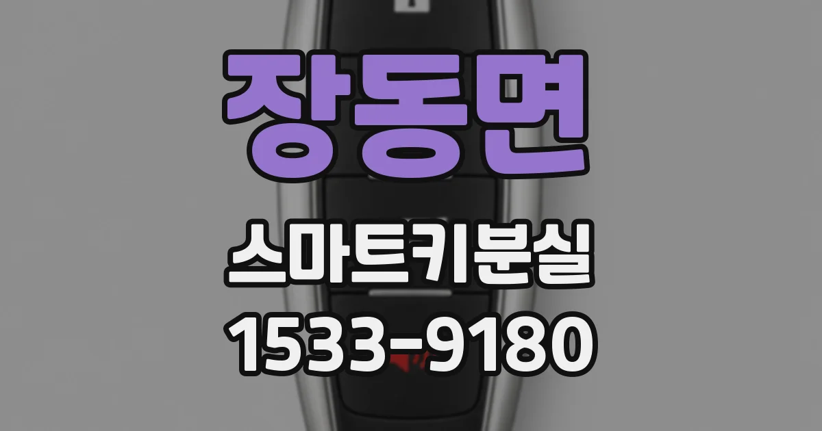 장동면 스마트키분실