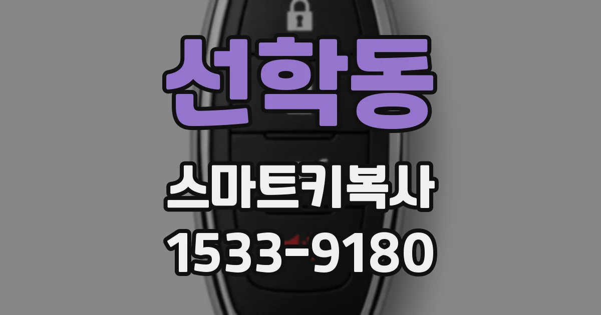 선학동 스마트키복사