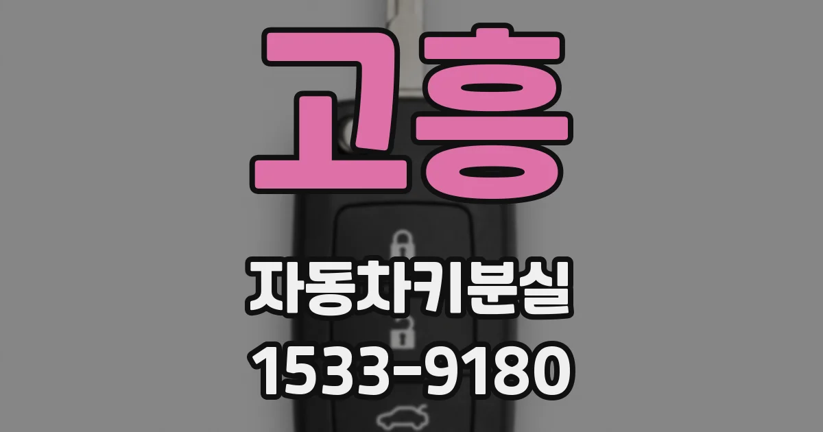 고흥 자동차키분실