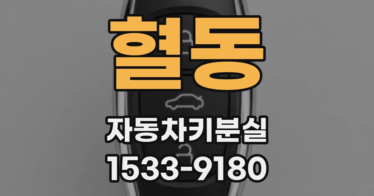혈동 자동차키분실