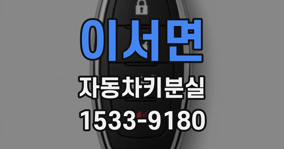 이서면 자동차키분실