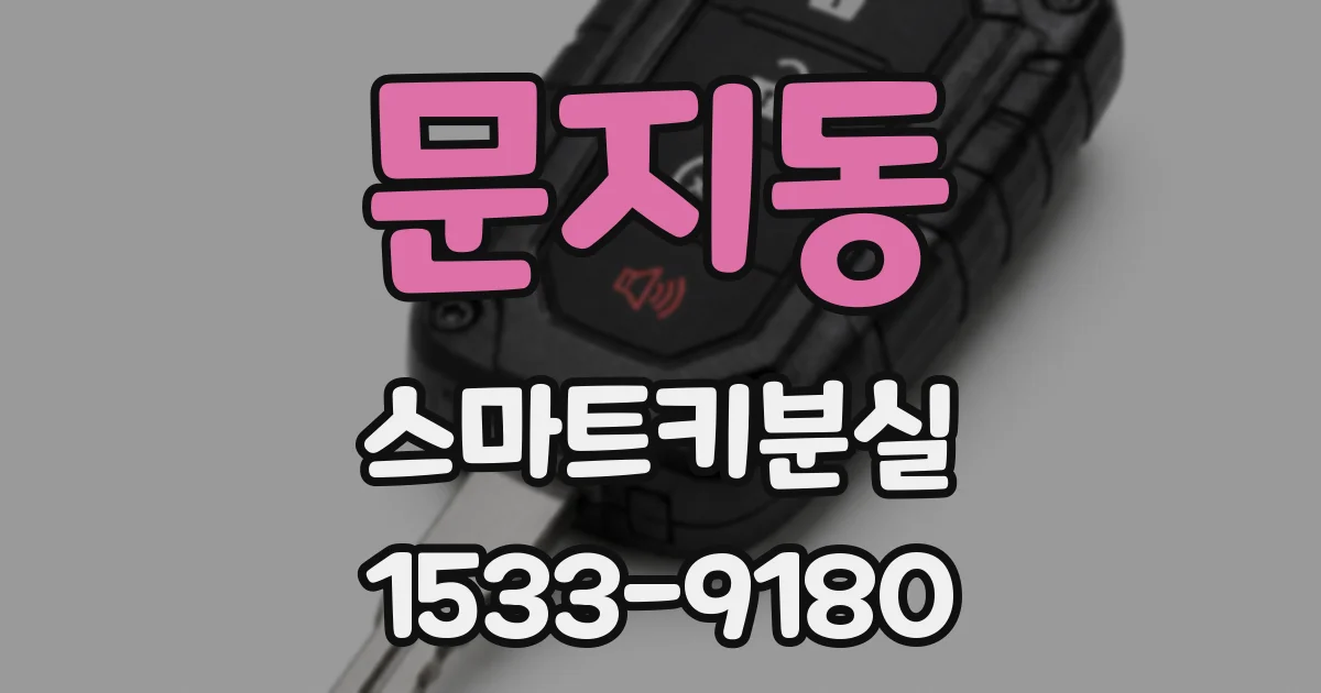 문지동 스마트키분실