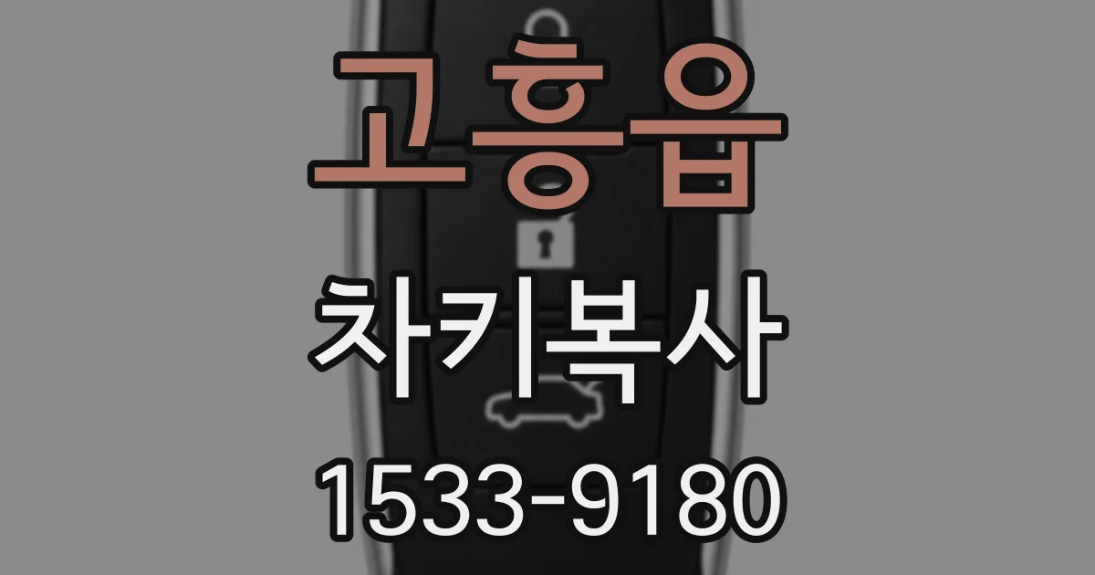 고흥읍 차키복사
