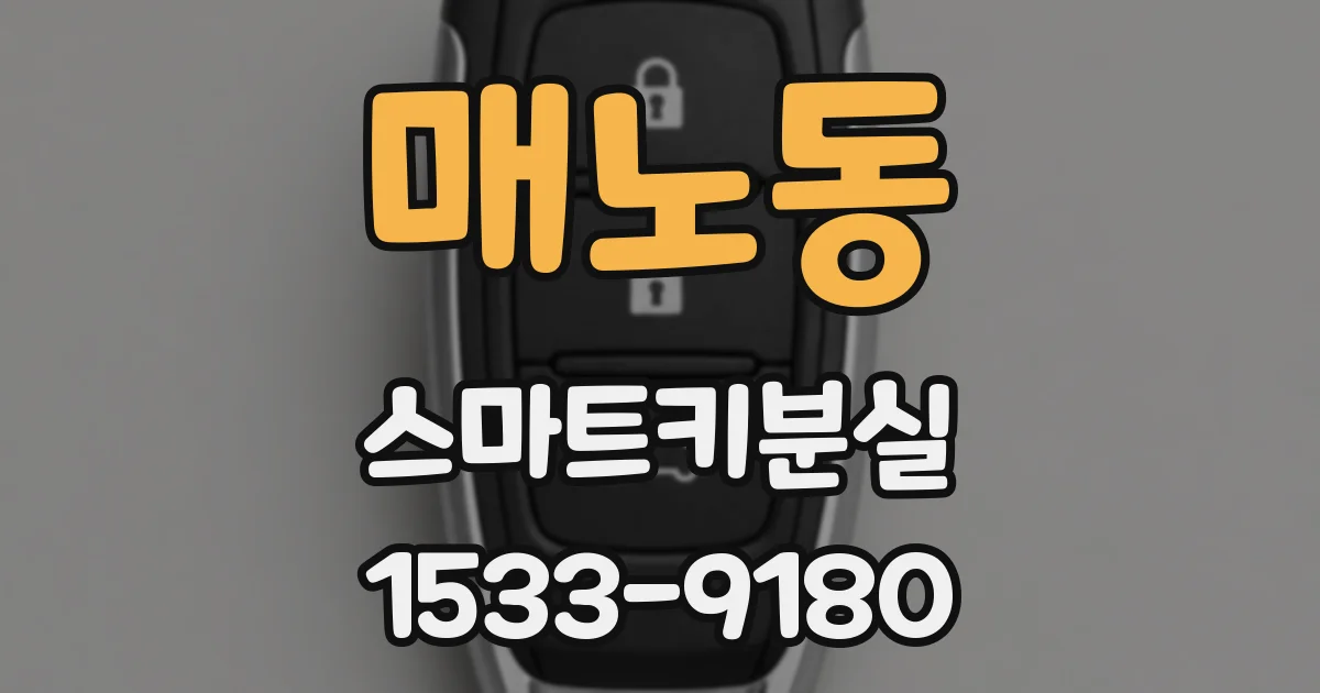매노동 스마트키분실