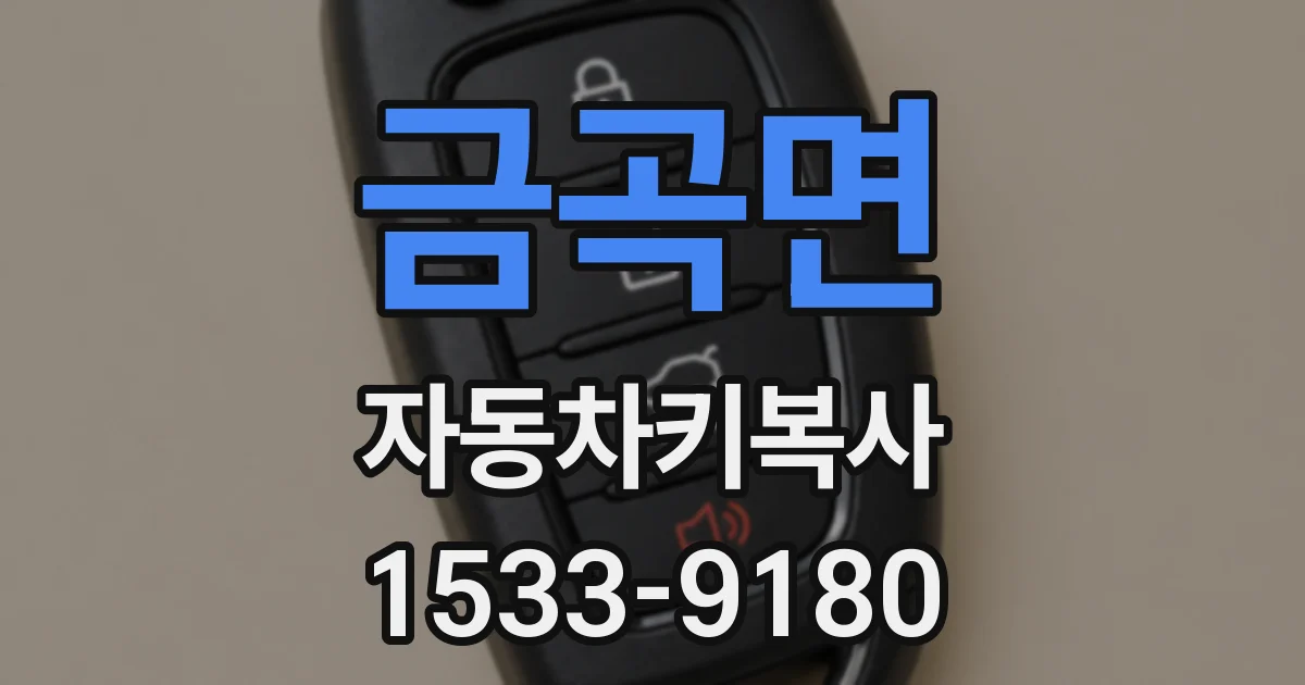 금곡면 자동차키복사