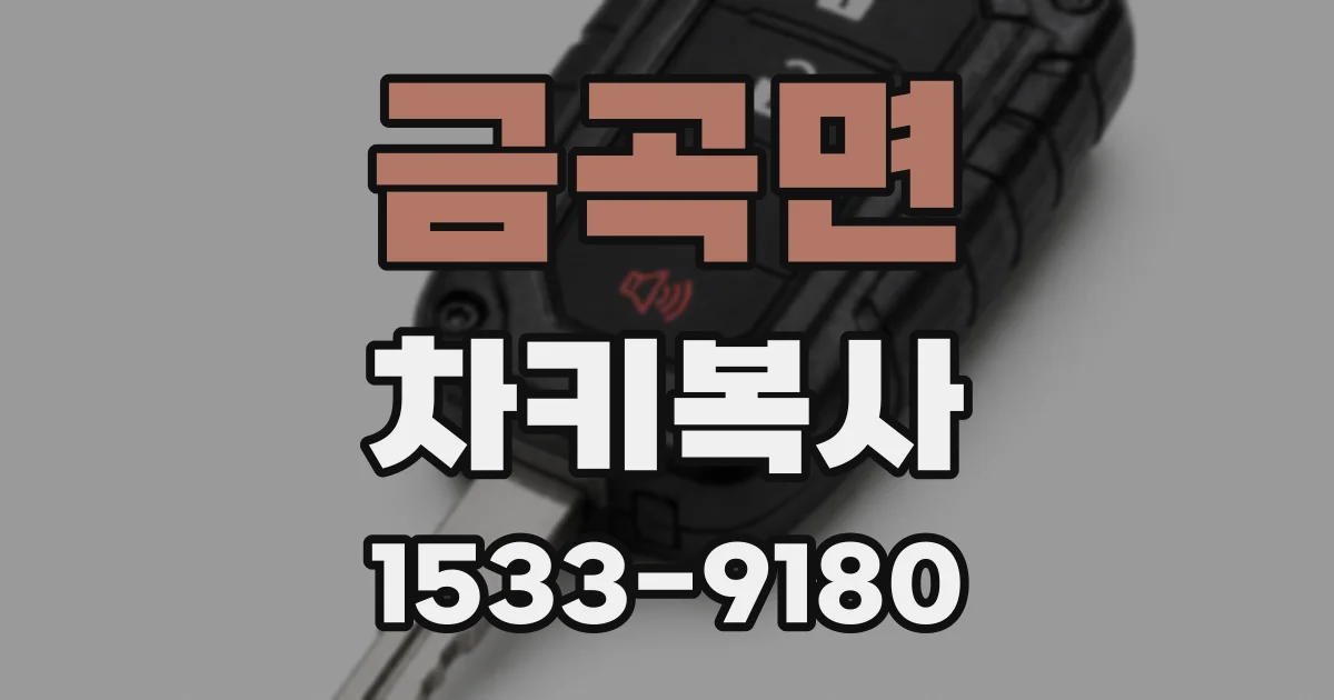 금곡면 차키복사