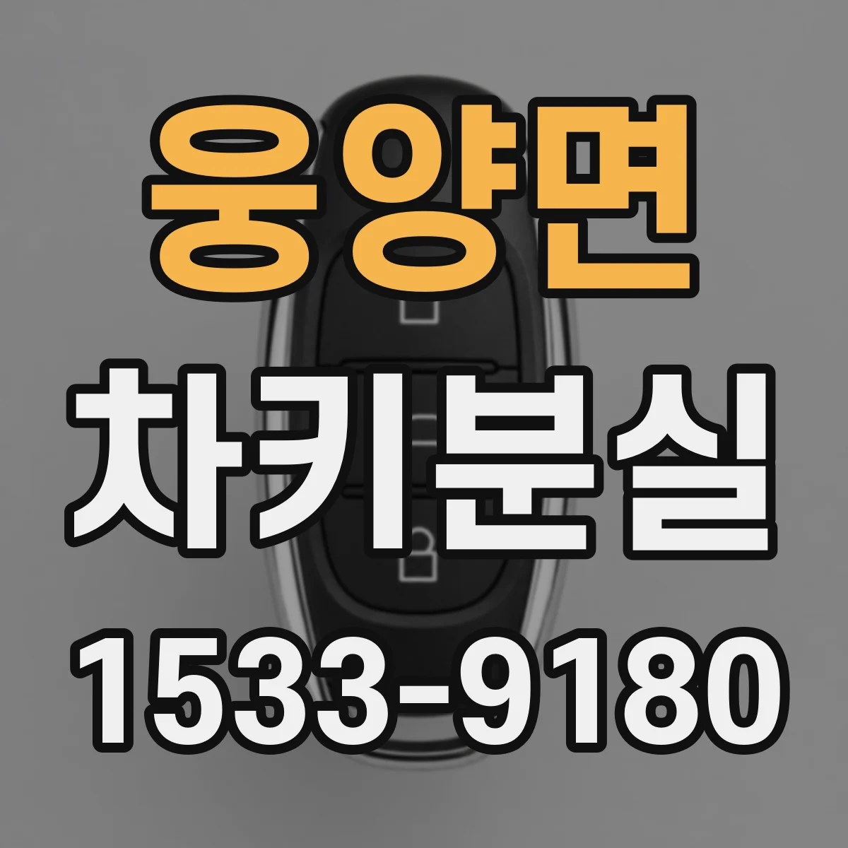 웅양면 차키분실