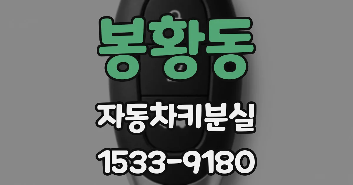 봉황동 자동차키분실