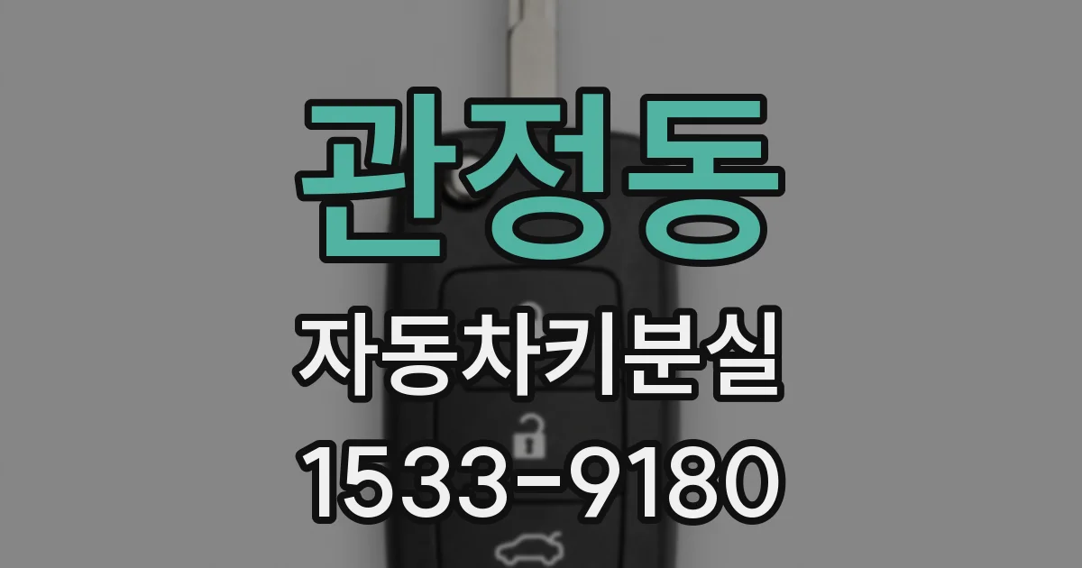관정동 자동차키분실