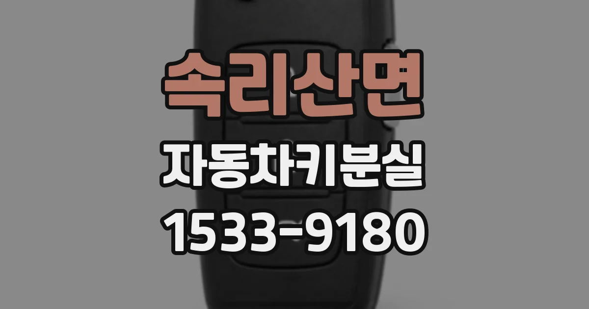 속리산면 자동차키분실