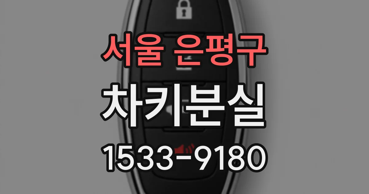 서울 은평구 차키분실