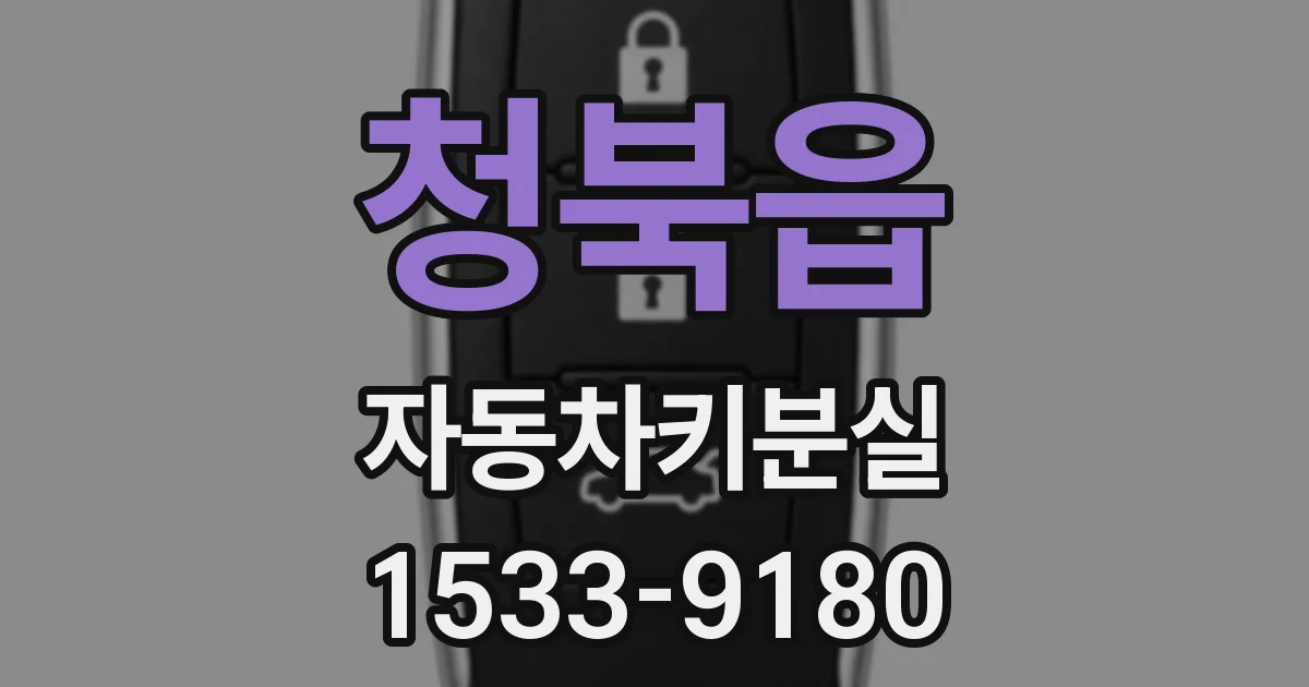 청북읍 자동차키분실