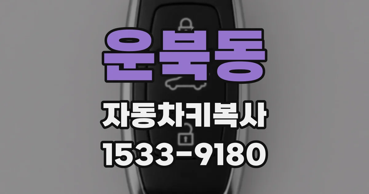 운북동 자동차키복사