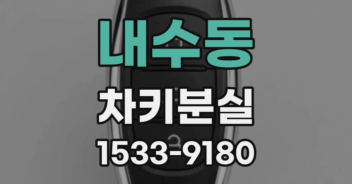 내수동 차키분실