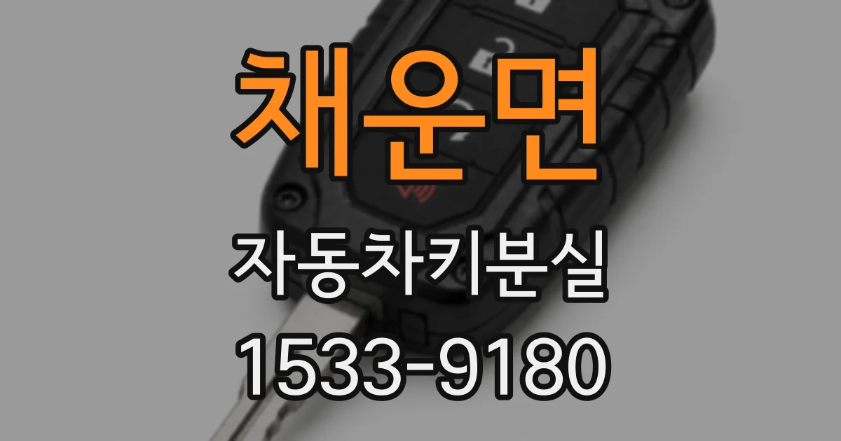 채운면 자동차키분실