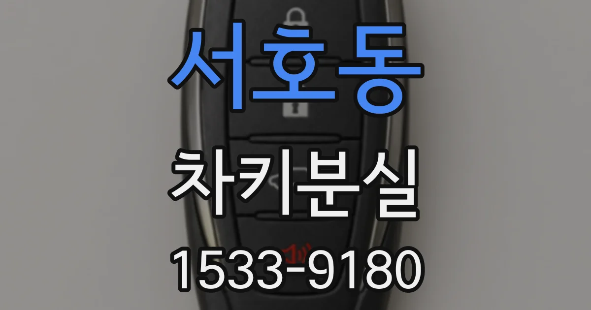 서호동 차키분실