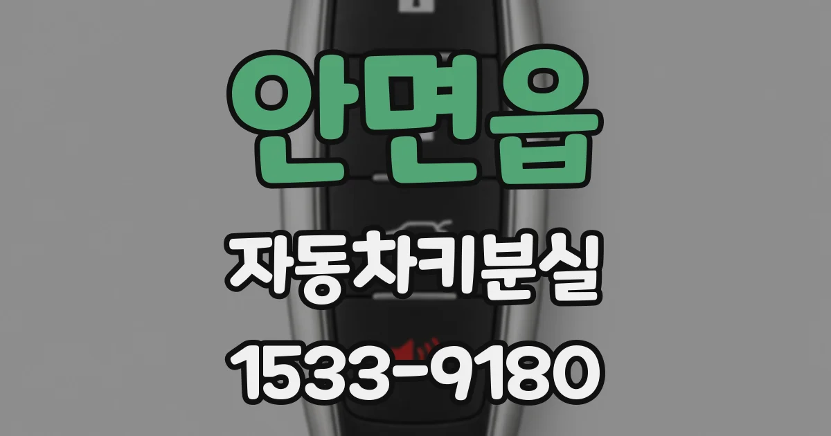 안면읍 자동차키분실