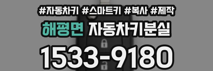 해평면 자동차키분실