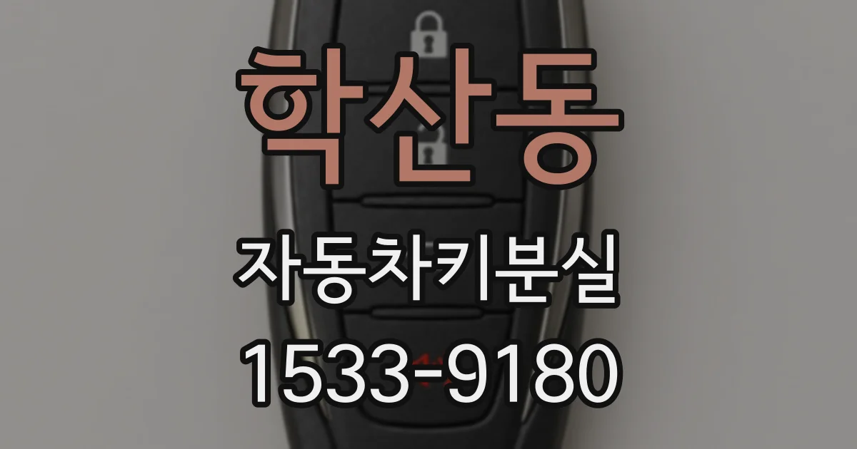 학산동 자동차키분실