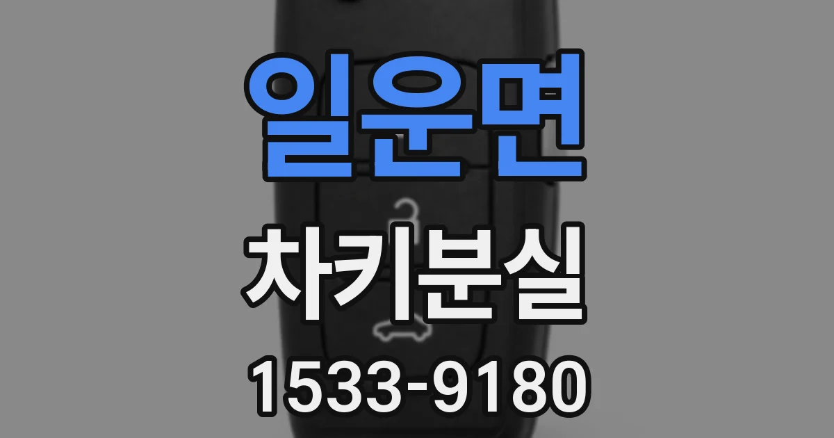 일운면 차키분실